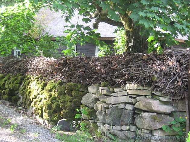 Vides unikalitāti pastiprina akmens žogu ietvertās ciema ielas, guļbaļķu mājas ar niedru jumtiem, senie koki un senlaicīgās akas 35635