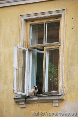 Ja logā bija nosēdies kaķis, tad arī tas tika iemūžināts reklāmas nolūkos par seno Kuldīgu 36027