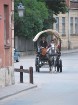 Pēkšņi žurnālistus pārsteidza pakavu klaboņa no zirgu taksīša Kuldīgas vecpilsētā! Japāņi teica, ka nekur citur Latvijā tos neesot redzējuši 13