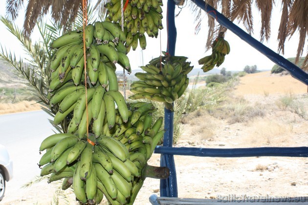 Par niecīgu naudiņu ikkatrs var nopirkt svaigus, ķīmiski neapstrādātus banāniņus... Liels PALDIES par bildēm ceļotājai Vinetai Rencei 36651