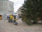 Pašā Rīgas sirdī - Doma laukumā - jau novietota egle, kas rotās pilsētu visu pirmssvētku un svētku laiku 1
