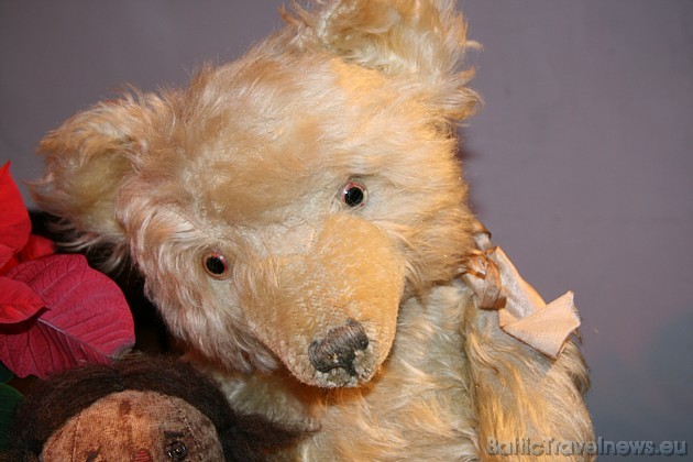 Teddy lāča popularitātes fenomenu ir grūtu izskaidrot, bet tas, ka šis mazais, aizkustinošais lācītis ir iekarojis ne tikai bērnu sirdis, ir nenoliedz 38591
