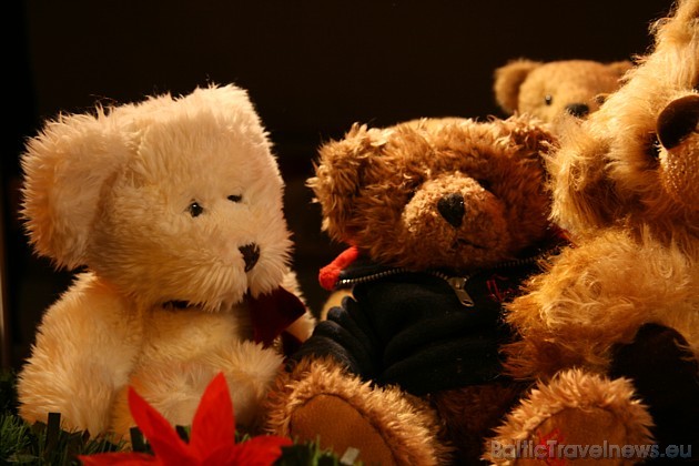 Visiem  Teddy lāču mīļotājiem būs īsti svētki,  jo izstādē varēs ne tikai aplūkot Latvijā populāru cilvēku Teddy lāču kolekcijas, bet piedalīties meis 38599