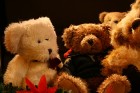 Visiem  Teddy lāču mīļotājiem būs īsti svētki,  jo izstādē varēs ne tikai aplūkot Latvijā populāru cilvēku Teddy lāču kolekcijas, bet piedalīties meis 13