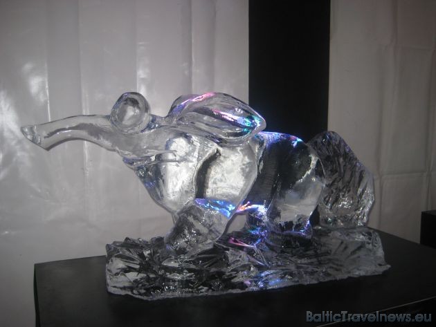 Papildu informācija par ledus skulptūru izveidi un autoriem var atrast interneta vietnē  www.artofuldis.com 38693