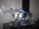 Papildu informācija par ledus skulptūru izveidi un autoriem var atrast interneta vietnē  www.artofuldis.com 19