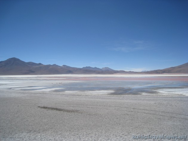 Rozā lagūna Bolīvijā ieguvusi savu sārto nokrāsu no aļģēm, kas atrodas ūdenī 38793