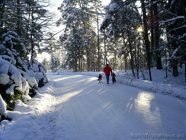 Galerijā apskatāmi Travelnews.lv ziemas autoceļu fotokonkursam pieteiktās bildes. Noteikumus lasi šeit: www.travelnews.lv
Foto: Antra K. 39131