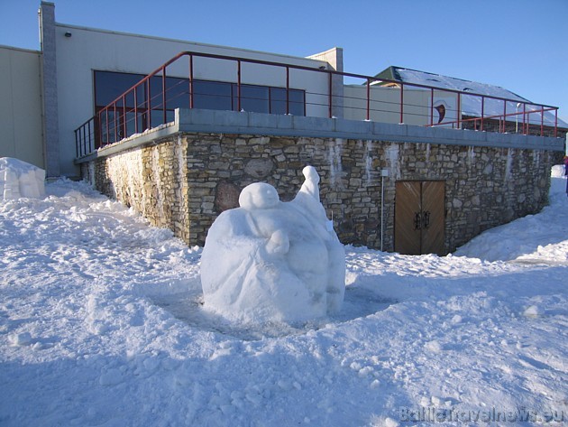 Sniegā var atveidot arī eksotiskus tēlus, kam aukstums nebūt netraucē 39434