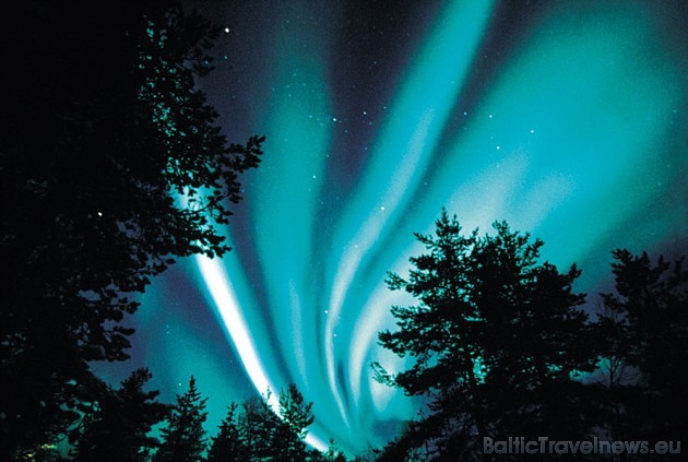Ziemeļblāzma - ziemeļu debesu fenomens - novērojama nakts debesīs virs viesnīcas no augusta beigām līdz pat aprīlim 39459
