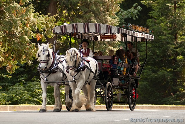 Viena no romantiskākajām izklaidēm - izjāde zirgu vilktos ratos
Foto: Tourism Vancouver 39849