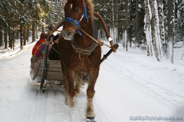 Zirga kamanas traucas pa sniegotajiem ceļiem... 41011