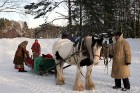 Lahemā nacionālais parks, kas atrodas Igaunijas ziemeļos, aicina izvizināties ar zirga kamanām un iepazīt kluso Altja zvejniekciemu 1