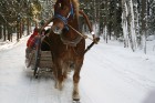 Zirga kamanas traucas pa sniegotajiem ceļiem... 9