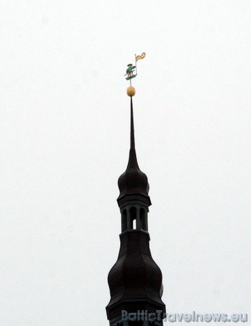 Kas gan nepazīst Tallinas simbolu Veco Tomasu – vēja rādītāju Rātsnama 61,5 metrus augstā torņa galā? 41284