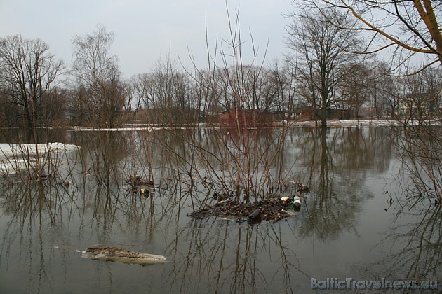 Pali Driksā atkāpjas no Jāņa Čakstes bulvāra 41604