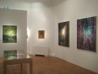 Pavasarī galerijā varēs apskatīt šādu mākslinieku darbus - Roberto Baroni, Marc Piano, Potter Thumm 7