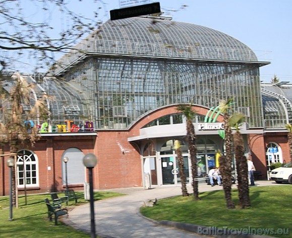 Frankfurte lepojas ar savu botānisko dārzu 43639