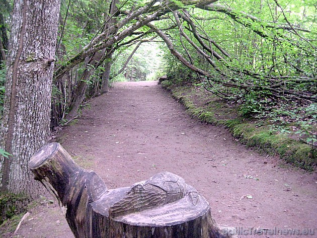 Parkā ir izveidota taka ar dažādu aizsargājamo dzīvnieku koka skulptūrām 45191