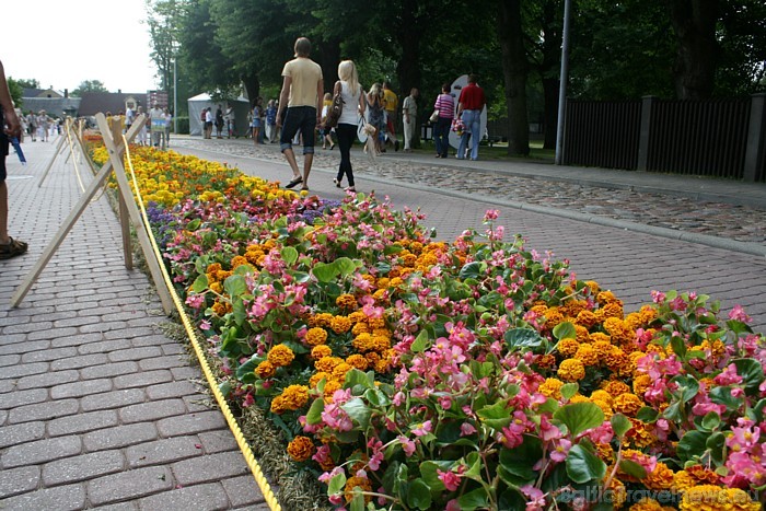 Garākā ziedu paklāja tapšana notika par godu Ventspils 720 gadu jubilejai 47459