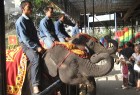 Izjādes ar labāko visurgājēju – ziloni - pieejamas arī tūristiem 12