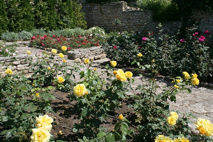 Bulgārijas siltajā klimatā rozes izaug īpaši smaržīgas 47933