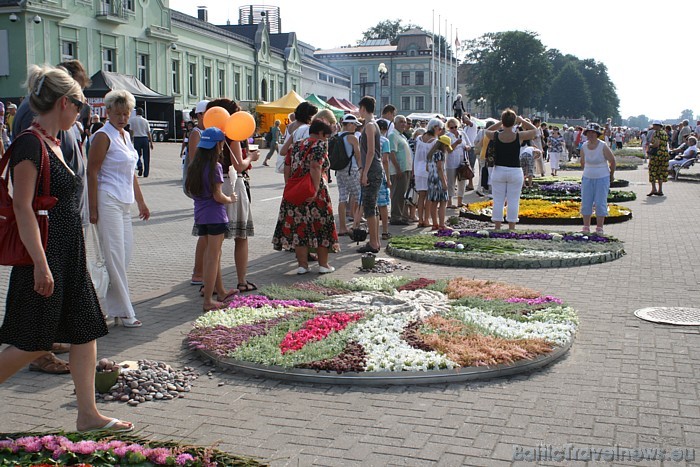 No 06.-08.08.2010 pilsētas svētku ietvaros notika desmitais Baltijas ziedu paklāju festivāls 47944