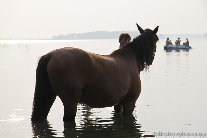 Kadreiz Latgalē bija lielākais zirgu blīvums Latvijā 48041