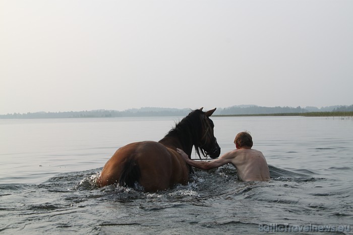 Zirga peldināšana Sīvera ezerā 48042