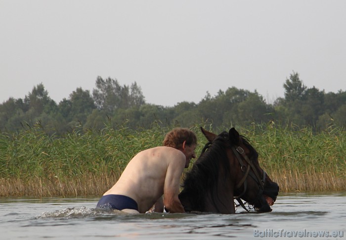 Zirga peldināšana Sīvera ezerā 48044