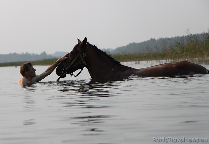 Latgales zemniekam zirgs vēl joprojām ir augstā vērtē 48046