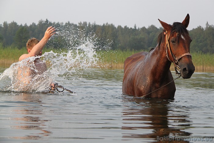 Zirga peldināšana Sīvera ezerā 48050
