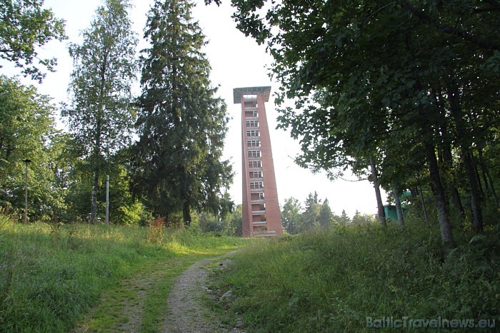 Gaiziņkalns jeb Gaiziņš ir Latvijas augstākais reljefa punkts 48304