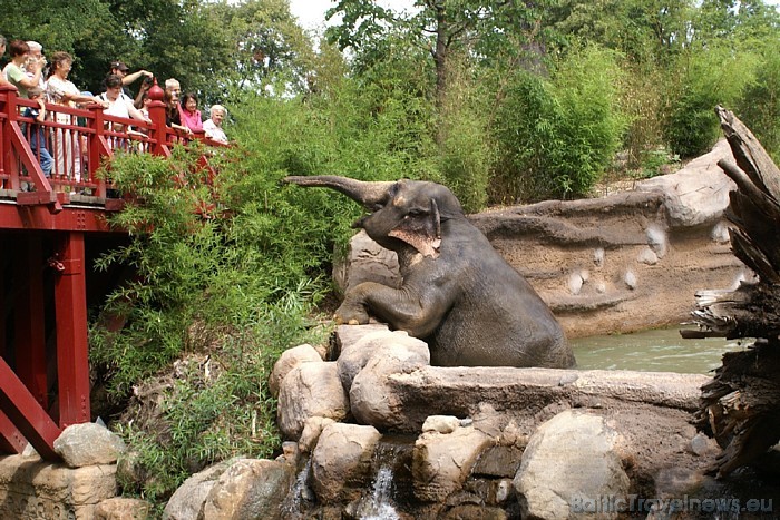 Mūsdienās Leipcigas zoo ir sadalīts sešos sektoros - sākotnējā zoodārzā, Āfrikas, Āzijas un Dienvidamerikas daļās, Pongo zemē, kā arī topošajā tropu z 48607