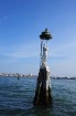 Venēcija tiek dēvēta par La Serenissima - visugaišāko un Adrijas jūras pērli
Foto: Fototeca ENIT/Gino Cianci 5
