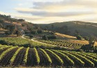 Daži no pasaules slavenākajiem vīna darīšanas reģioniem atrodas tieši Dienvidaustrālijā
Foto: SATC 12