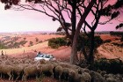 Ceļotājus bieži pārsteidz Austrālijas plašums - tur dažviet atrodamas fermas, kuru teritorija ir lielāka par kādu mazu Eiropas valstiņu 
Foto: SATC 9