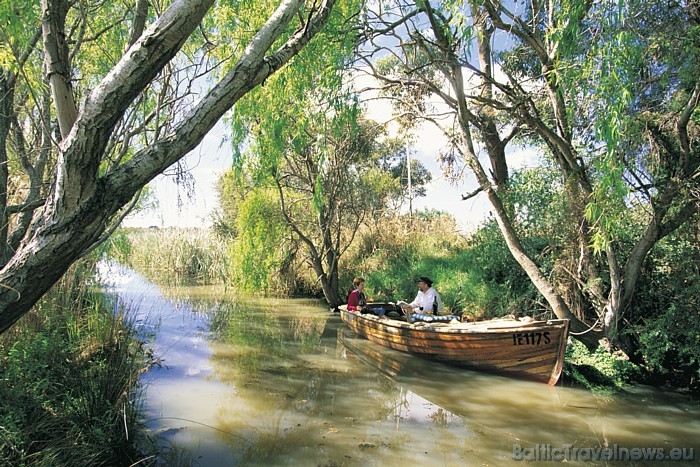 Ceļotāji, kas dodas uz Austrāliju, bieži izvēlas viesoties tieši Dienvidaustrālijas plašajās un dažādajās teritorijās 
Foto: SATC 49415