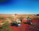 Pikniks Austrālijā kļūst neaimirstams fascinējošo dabas skatu dēļ
Foto: SATC 18