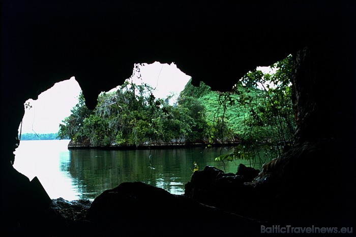 Dabas parku apskate ir tikai viena no iespējām, kā iepazīt eksotisko Dominikānas dabu 
Foto: GoDominicanRepublic.com 49440