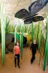 Šķiet, ekskursijas dalībnieki sarukuši - muzeja Sardīnijas zālē palielinājumā attēlots salas maigais klimats, zāle un tajā nomesta skārdene 
Foto: Kl 13
