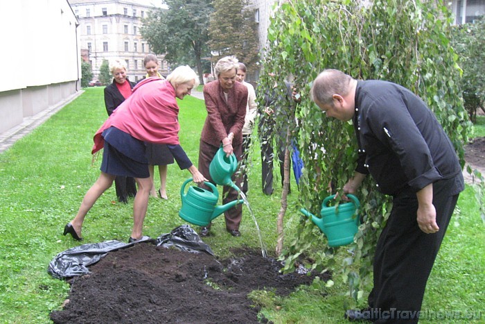 2007. gadā Kanādas vēstnieks iestādīja kļavu, 2008. gadā Norvēģijas vēstnieks – lapegli, 2009. gadā Itālijas vēstnieks – cipresi, bet šogad 2010. gadā 50239