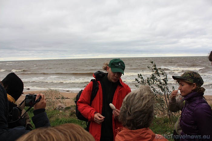 BalticTravelnews.com arī devās ekskursijā pa Vidzemes akmeņaino jūrmalu. Juris Smaļinskis stāsta par tikko atrasto sēni 50471