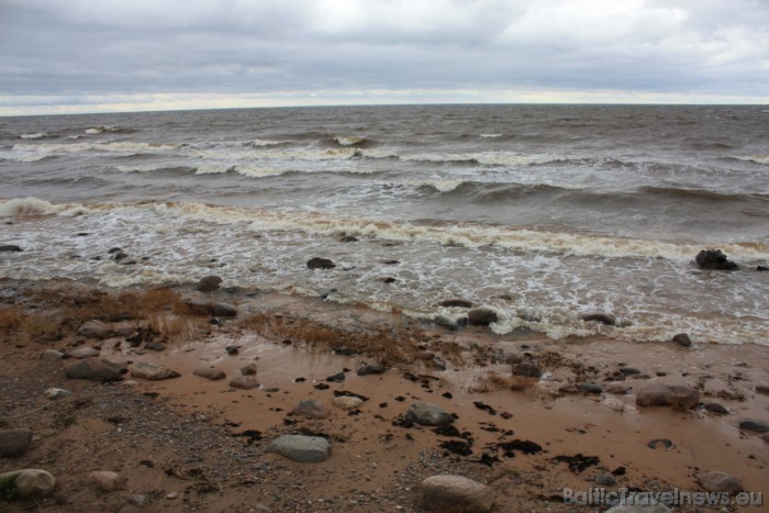 Vietās, kur jūras izskalotās smiltis uzkrājas aiz augiem vai citiem šķēršļiem, veidojas kāpas 50486