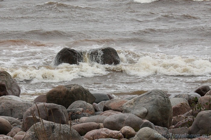 Vidzemes akmeņainā jūrmala ir vienīgā vieta Latvijā, kur jūras viļņu abrazīvās darbības iespaidā izveidojušies līdz dažus metrus augsti Devona perioda 50490