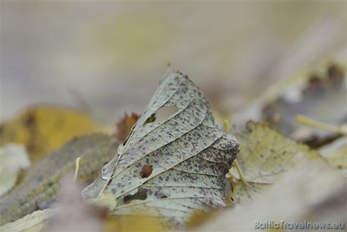 Rudens sezonā Ventspilī apskatāmas vairākas izstādes
Foto: Juris Presņikovs 51025