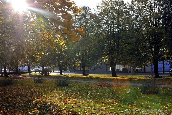 Rudens Ventspils parkos
Foto: Juris Presņikovs 51035