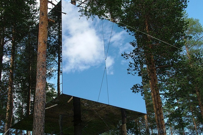 Zviedrijas mežos atrodas viesnīca Treehotel, kuras viesiem ir iespēja pārnakšņot kokos uzbūvētos numuros
Foto: © Treehotel 51160