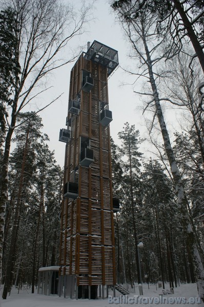 Dzintaru mežparkā atrodas viens no augstākajiem skatu torņiem ar 12 skatu balkoniem, kurā uzkāpt iecienījuši pilsētas iedzīvotāji un viesi, lai apskat 53877