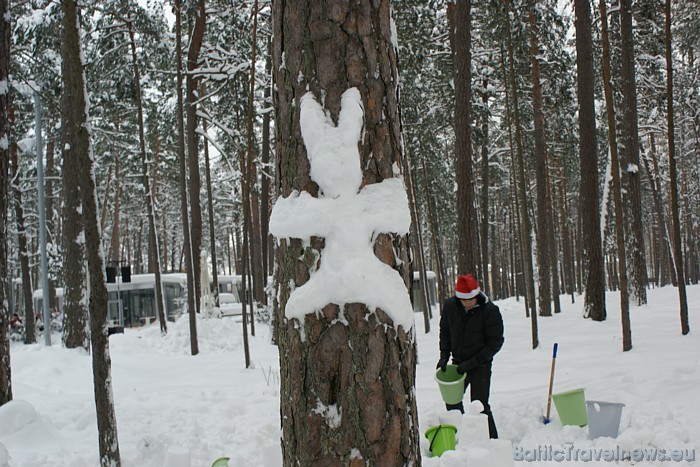 Radot tūristiem jaukus, atraktīvus svētkus ikvienā brīvdienā, ko viņi pavada mūsu kūrortpilsētā, mēs radam svētkus arī sev 53881